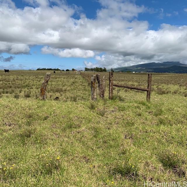 64 N/A Road  Kamuela, Hi vacant land for sale - photo 2 of 12