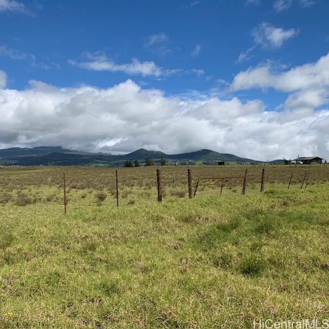 64 N/A Road  Kamuela, Hi vacant land for sale - photo 3 of 12