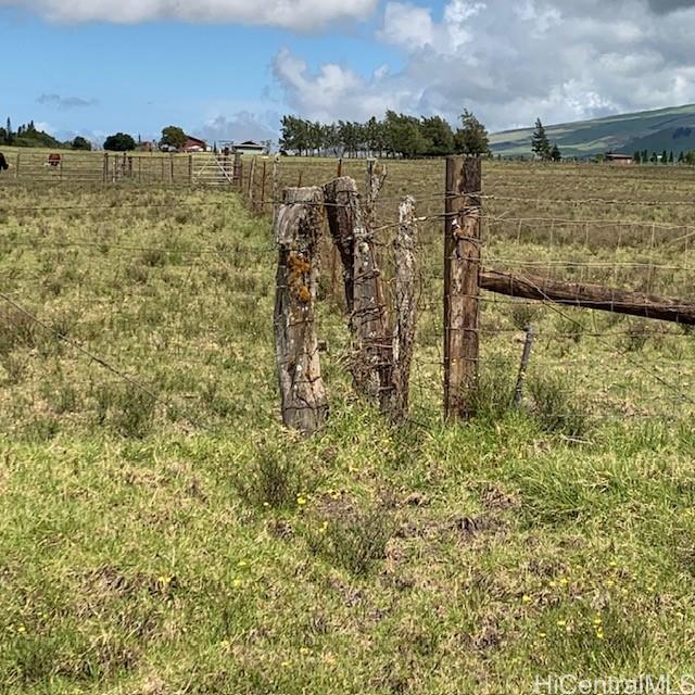 64 N/A Road  Kamuela, Hi vacant land for sale - photo 4 of 12