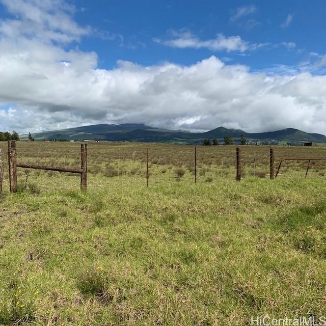 64 N/A Road  Kamuela, Hi vacant land for sale - photo 5 of 12