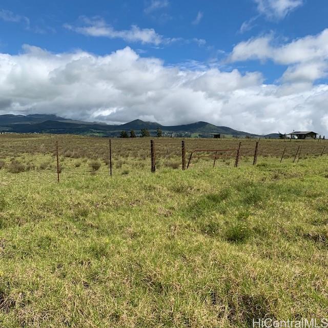 64 N/A Road  Kamuela, Hi vacant land for sale - photo 7 of 12