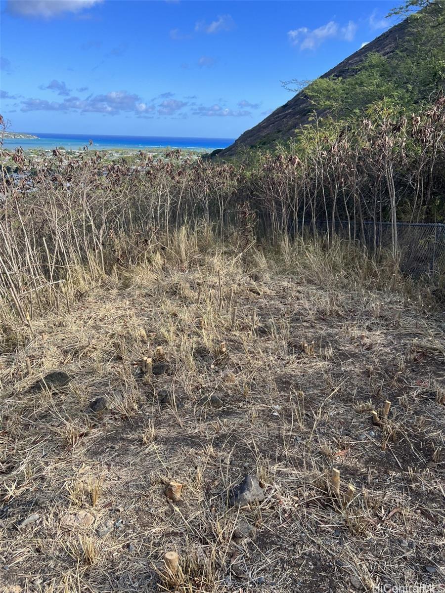 644 Papahehi Pl  Honolulu, Hi vacant land for sale - photo 3 of 4