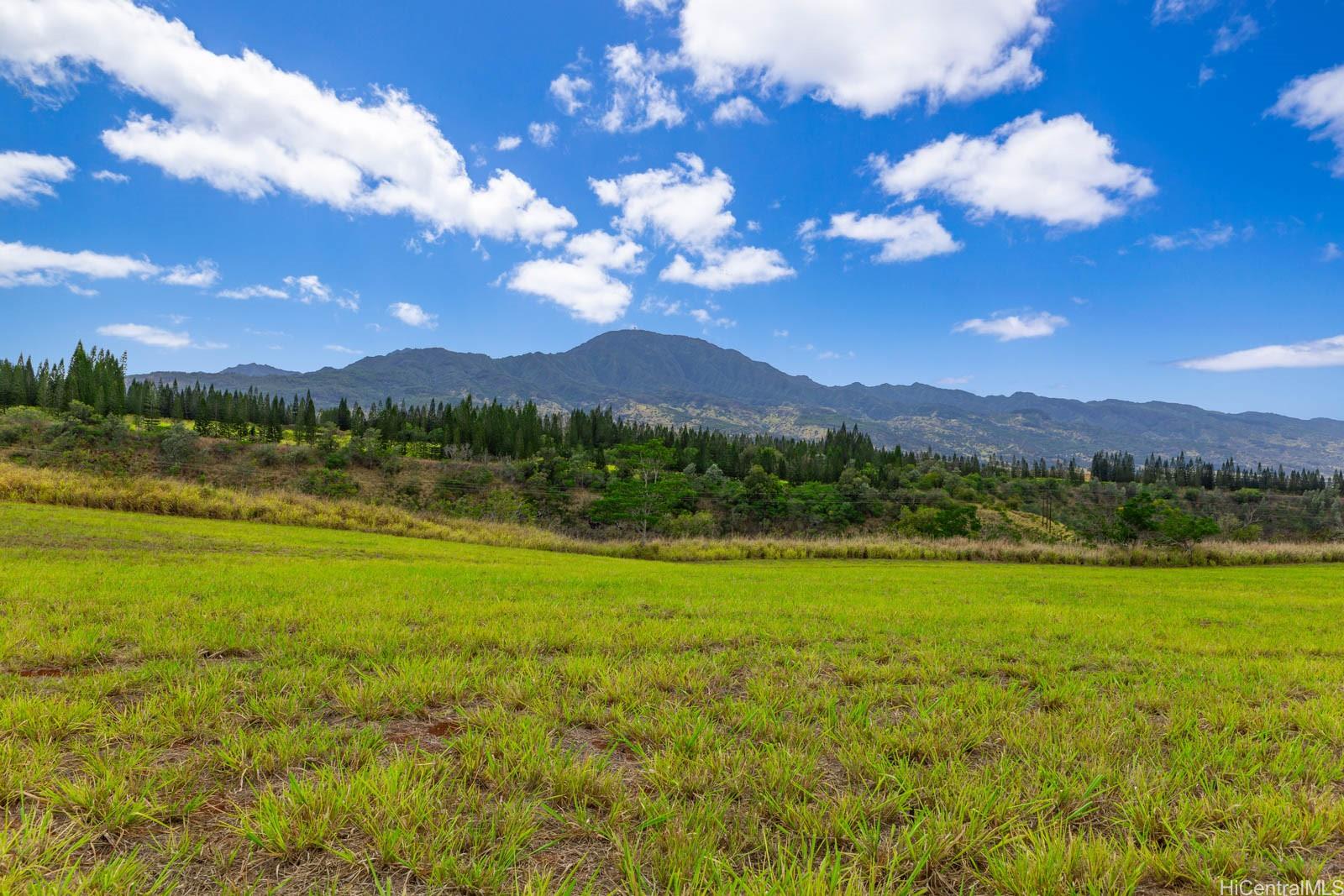 64-486 Kamehameha Hwy 34F Haleiwa, Hi vacant land for sale - photo 23 of 25