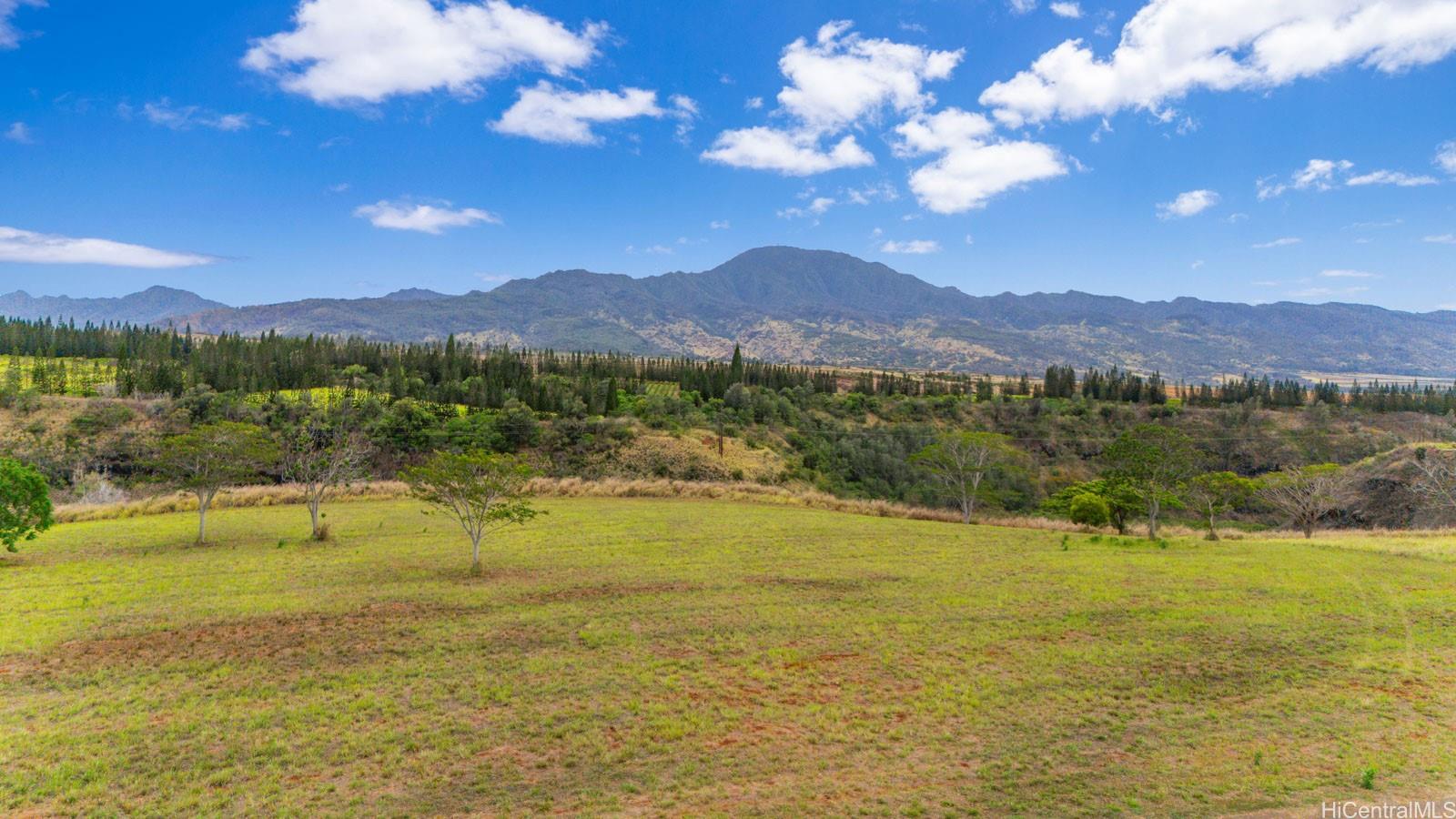 64-486 Kamehameha Hwy 34F Haleiwa, Hi vacant land for sale - photo 5 of 25