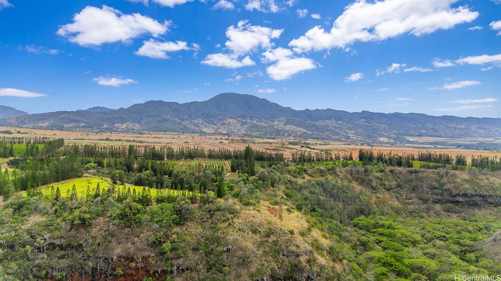 64-486 Kamehameha Hwy 34F Haleiwa, Hi vacant land for sale - photo 6 of 25