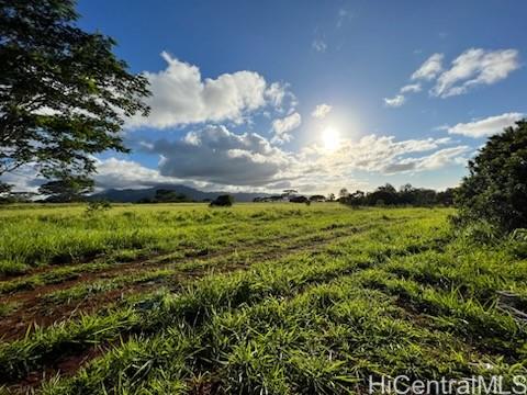 64-486 Kamehameha Hwy 35I Haleiwa, Hi vacant land for sale - photo 2 of 4