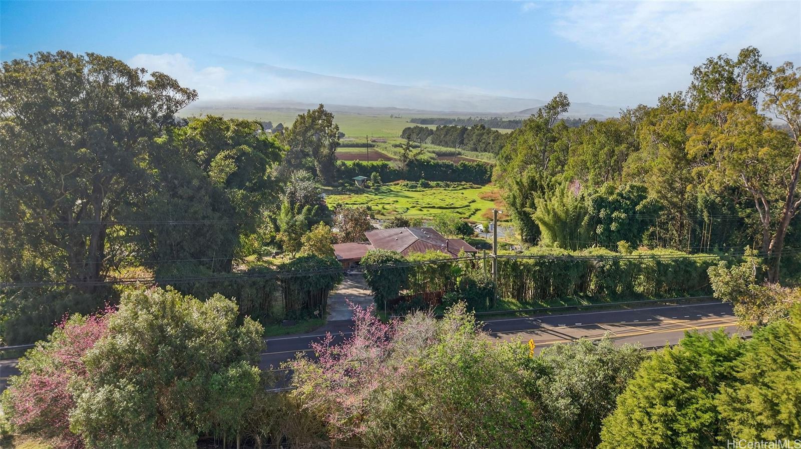 64-645  Mamalahoa Hwy Puukapu Hmstd, South Kohala home - photo 11 of 24