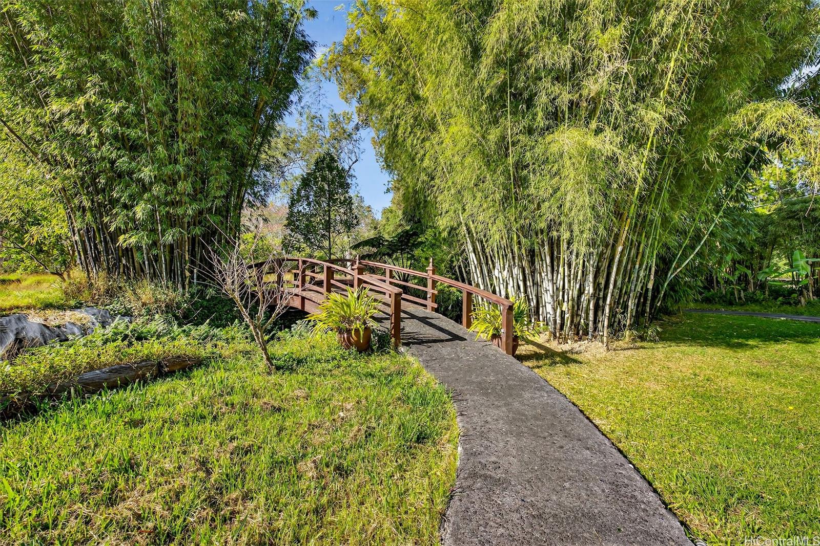 64-645  Mamalahoa Hwy Puukapu Hmstd, South Kohala home - photo 21 of 24