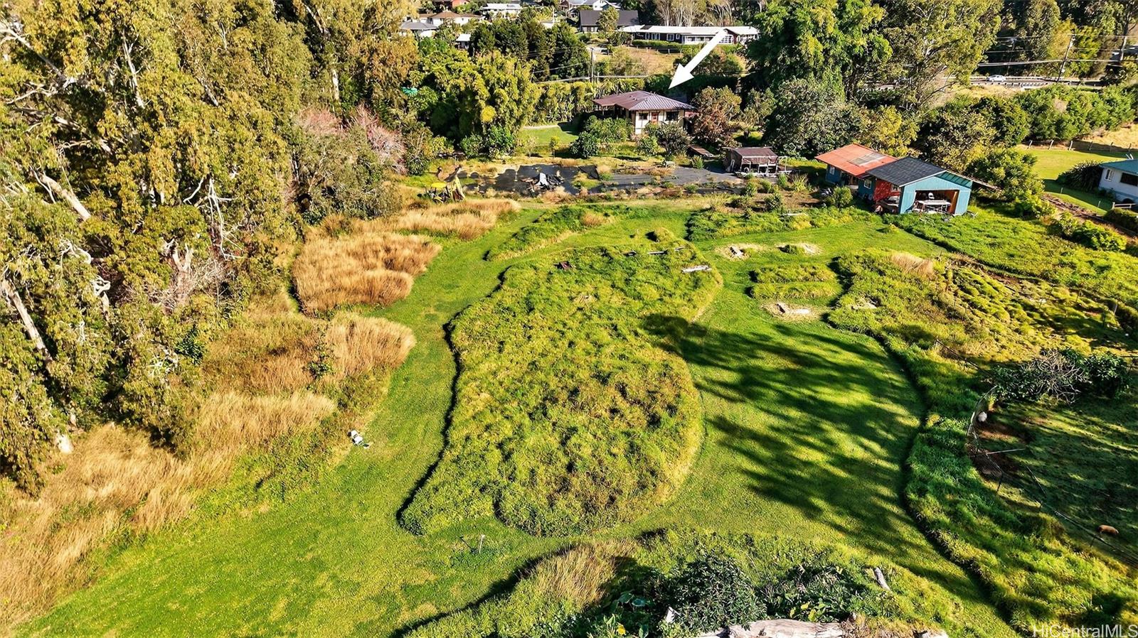 64-645  Mamalahoa Hwy Puukapu Hmstd, South Kohala home - photo 23 of 24