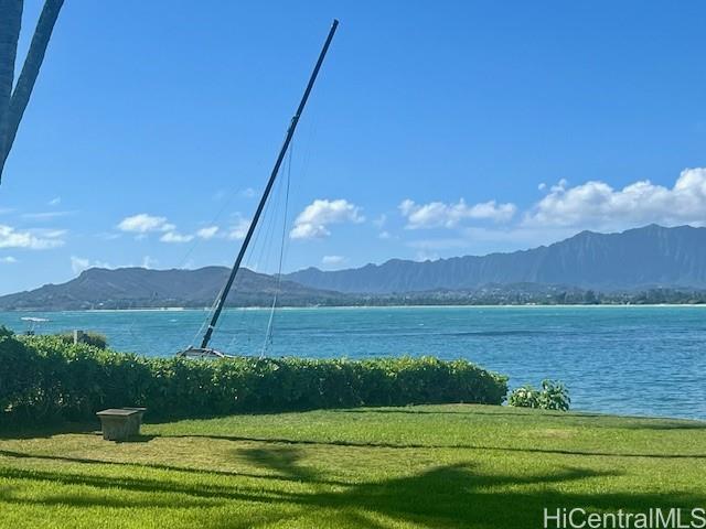 650 Kaimalino St Kailua - Rental - photo 24 of 25