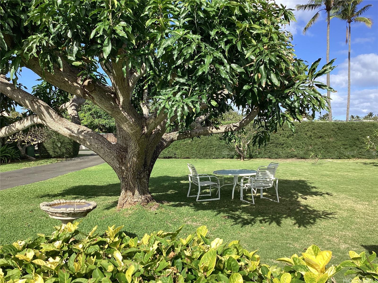 650 Kaimalino St Kailua - Rental - photo 6 of 25