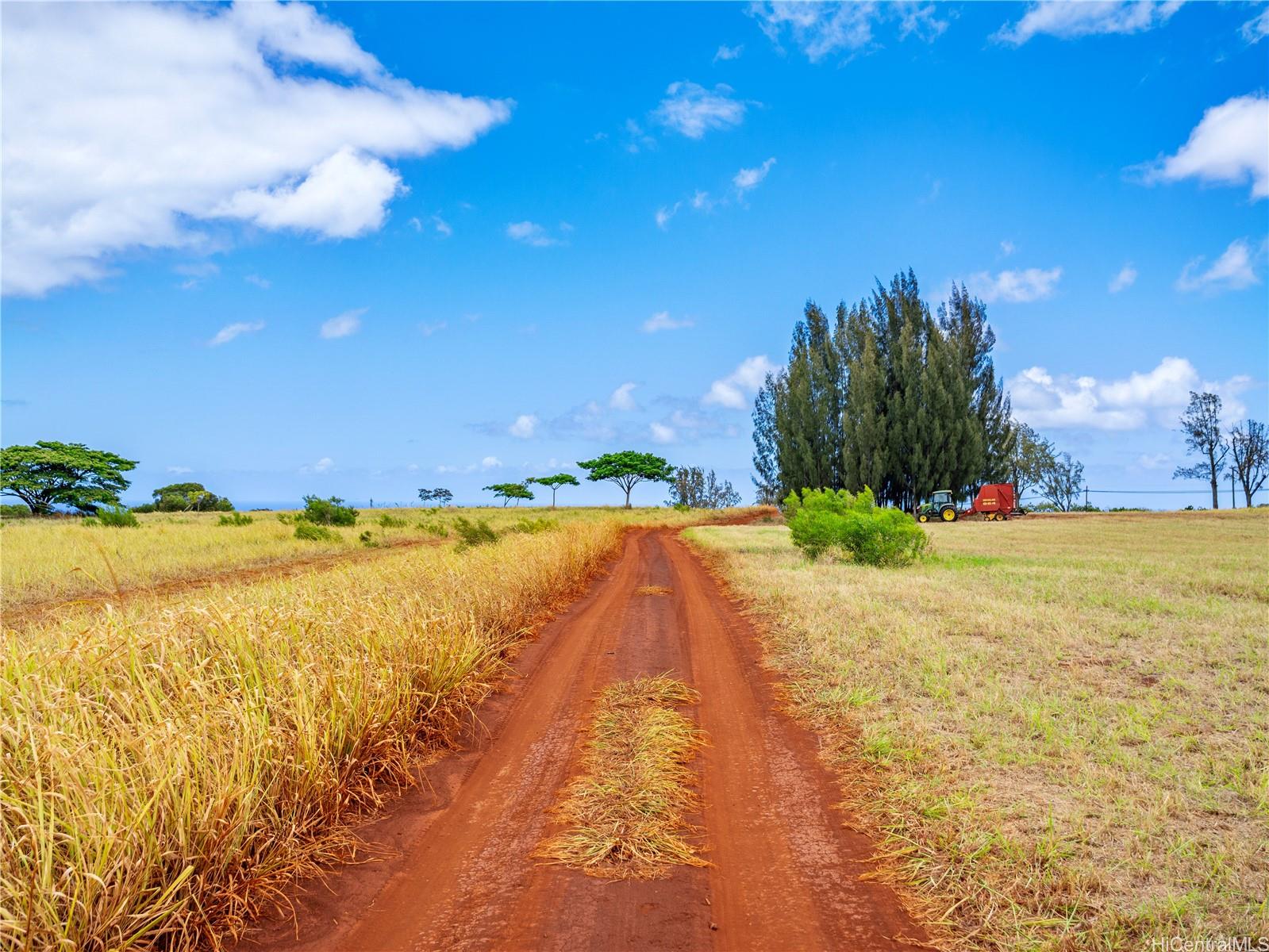 65-283 Kaukonahua Road 21 Waialua, Hi vacant land for sale - photo 11 of 25