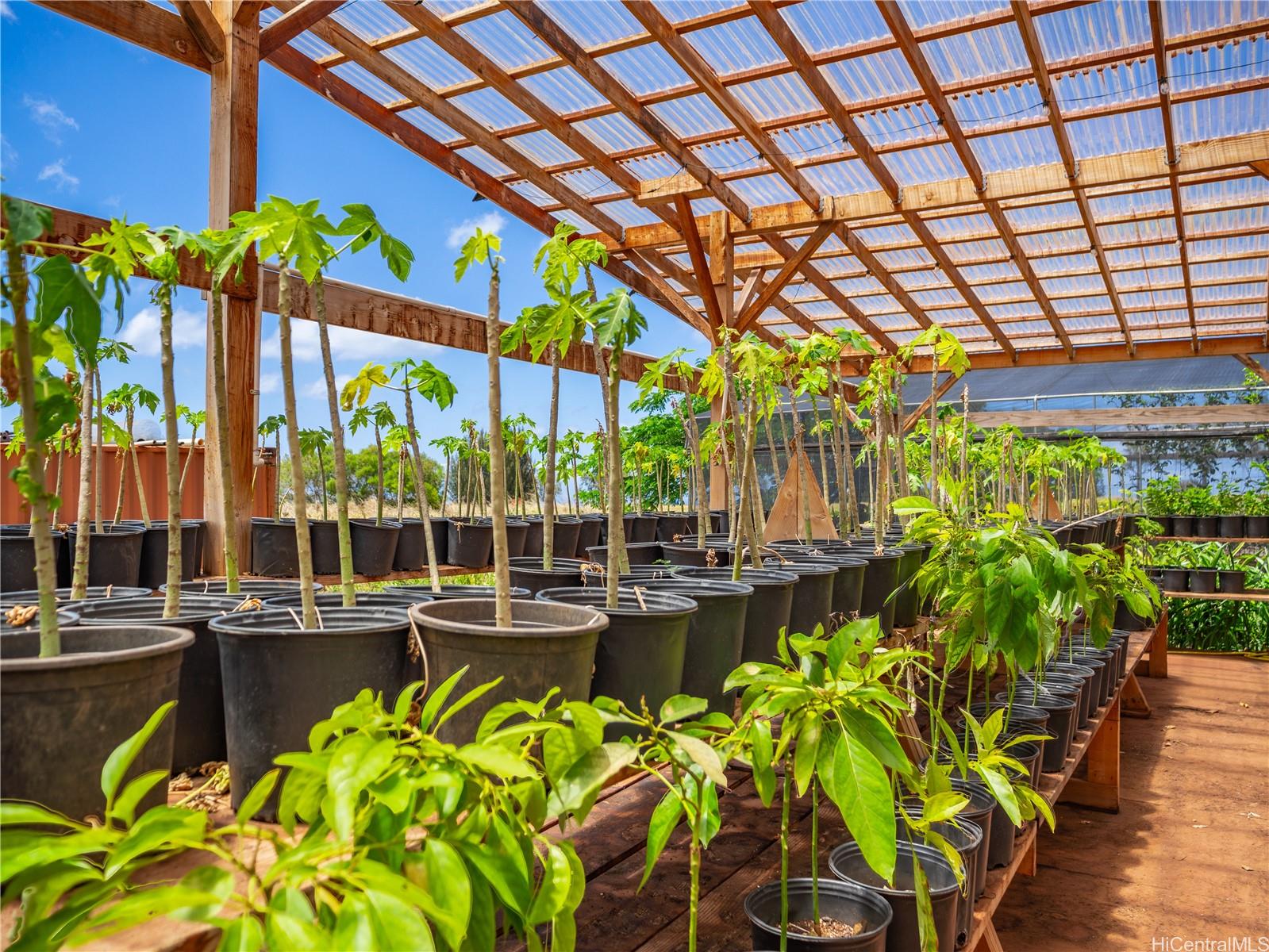 65-283 Kaukonahua Road 22 Waialua, Hi vacant land for sale - photo 15 of 25