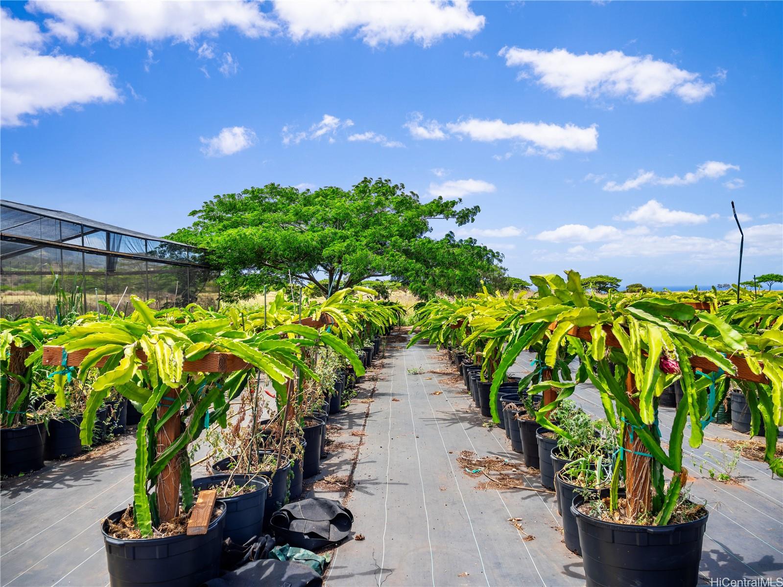 65-283 Kaukonahua Road 28 Waialua, Hi vacant land for sale - photo 16 of 25