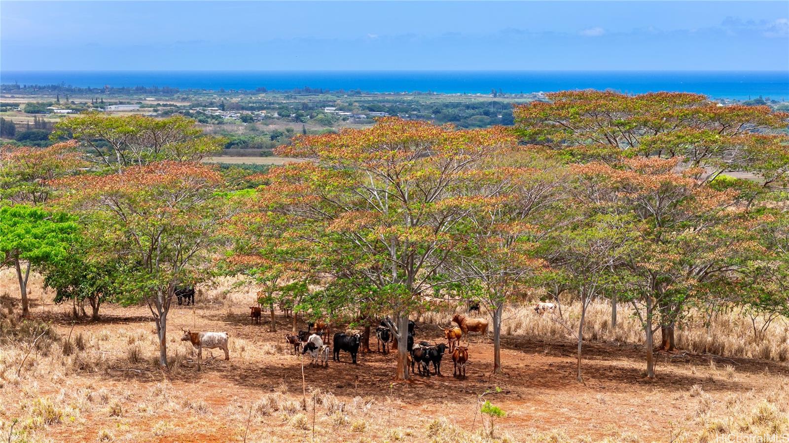 65-283 Kaukonahua Road 5 Waialua, Hi vacant land for sale - photo 17 of 25
