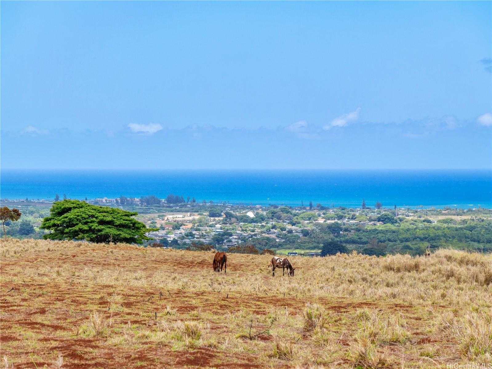 65-283 Kaukonahua Road 8 Waialua, Hi vacant land for sale - photo 12 of 25