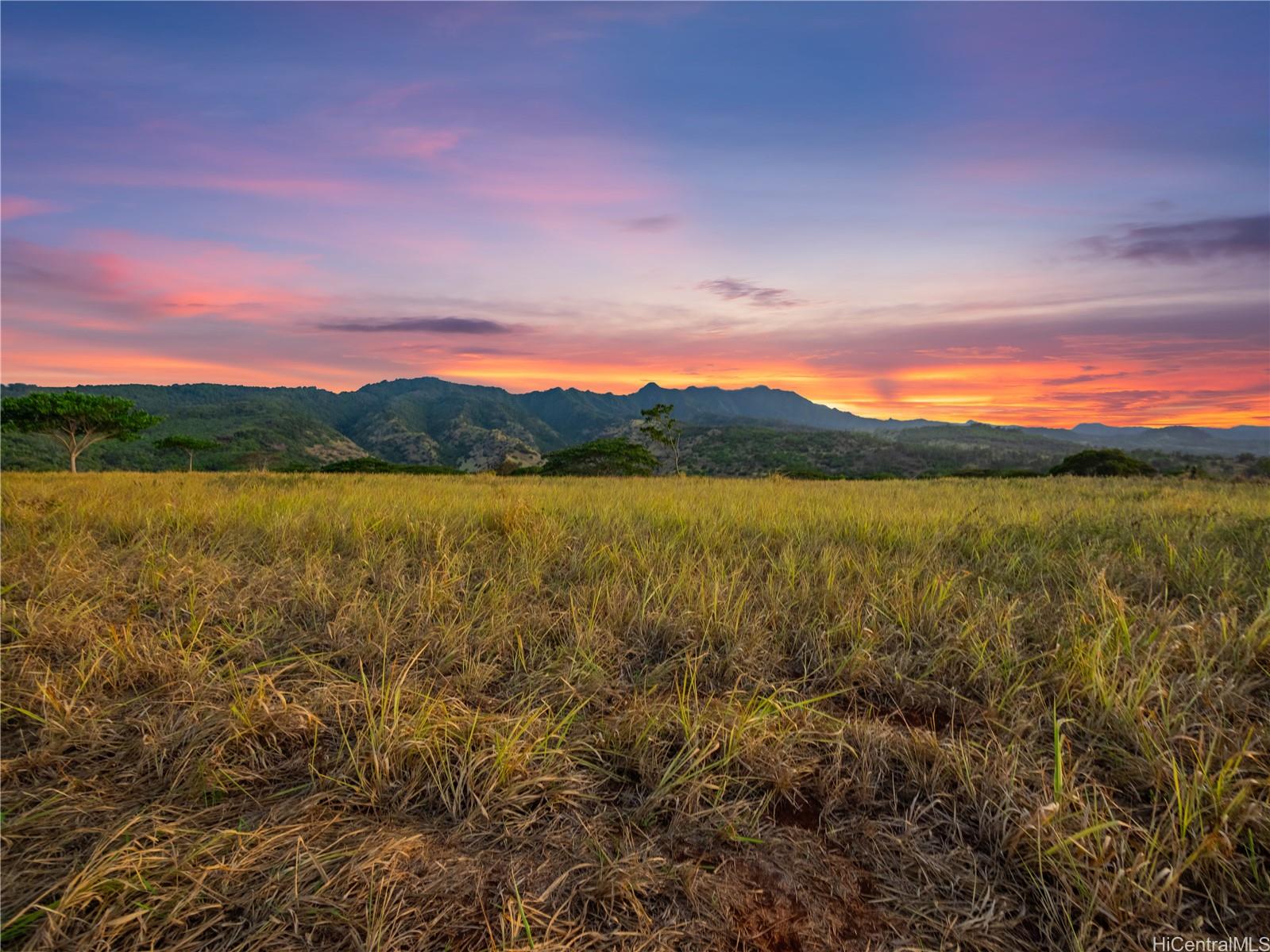 65-283 Kaukonahua Road , Waialua, Hi 96791 - Ag/preserve