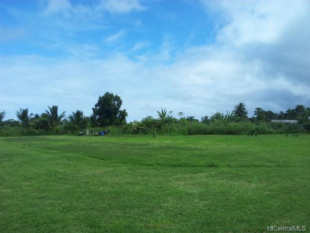 66-139 Achiu Ln  Haleiwa, Hi vacant land for sale - photo 2 of 6