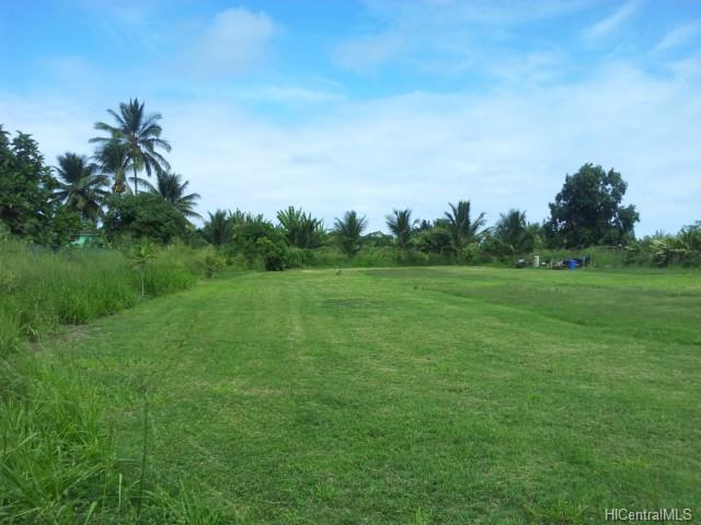 66-139 Achiu Ln  Haleiwa, Hi vacant land for sale - photo 3 of 6