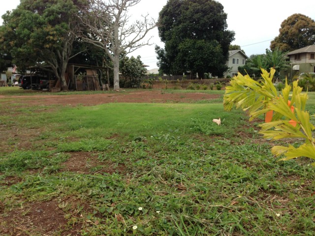 66-158 Niuula Rd  Haleiwa, Hi vacant land for sale - photo 5 of 5