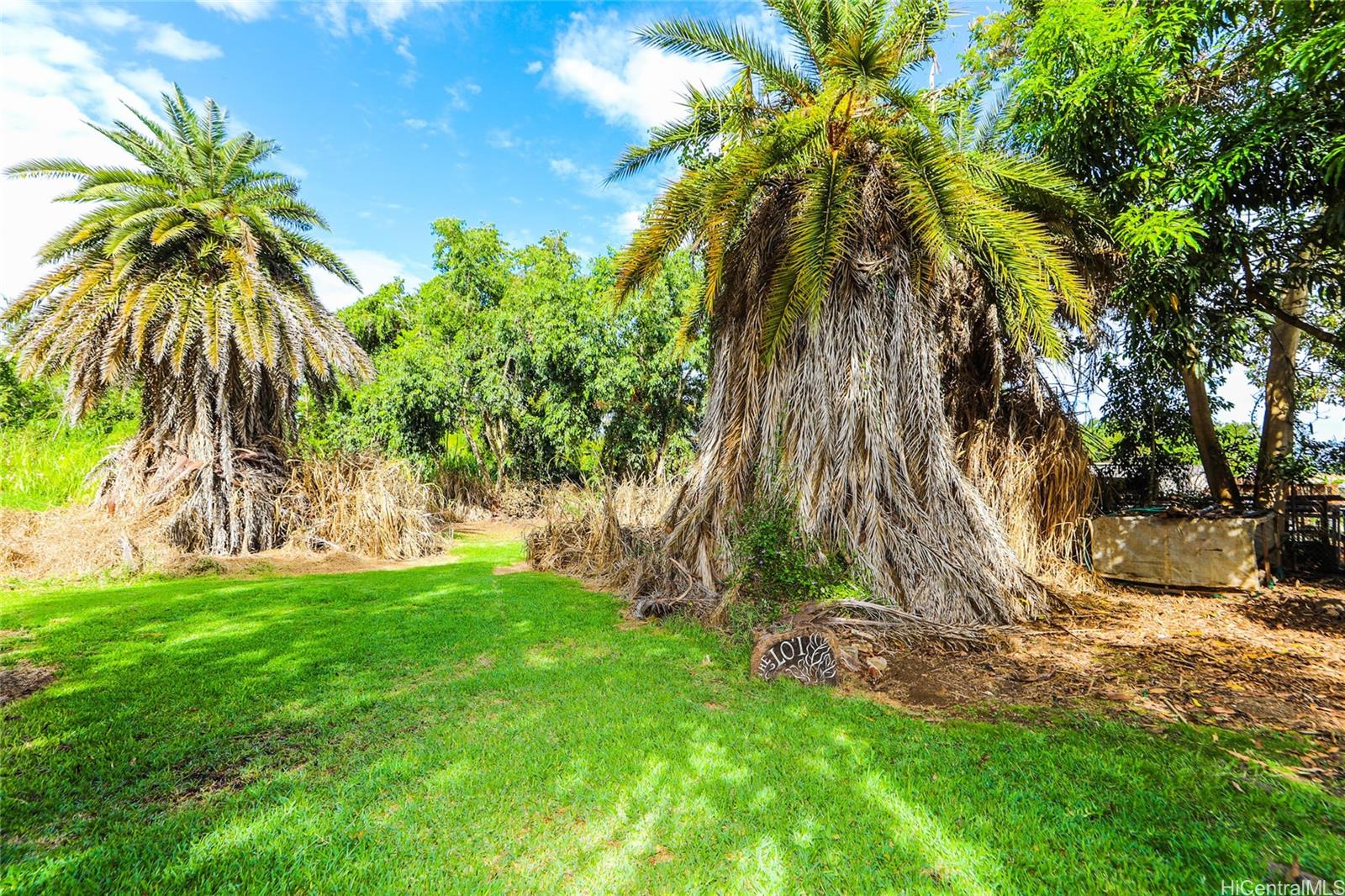 66-193 Kamehameha Hwy  Haleiwa, Hi vacant land for sale - photo 3 of 5