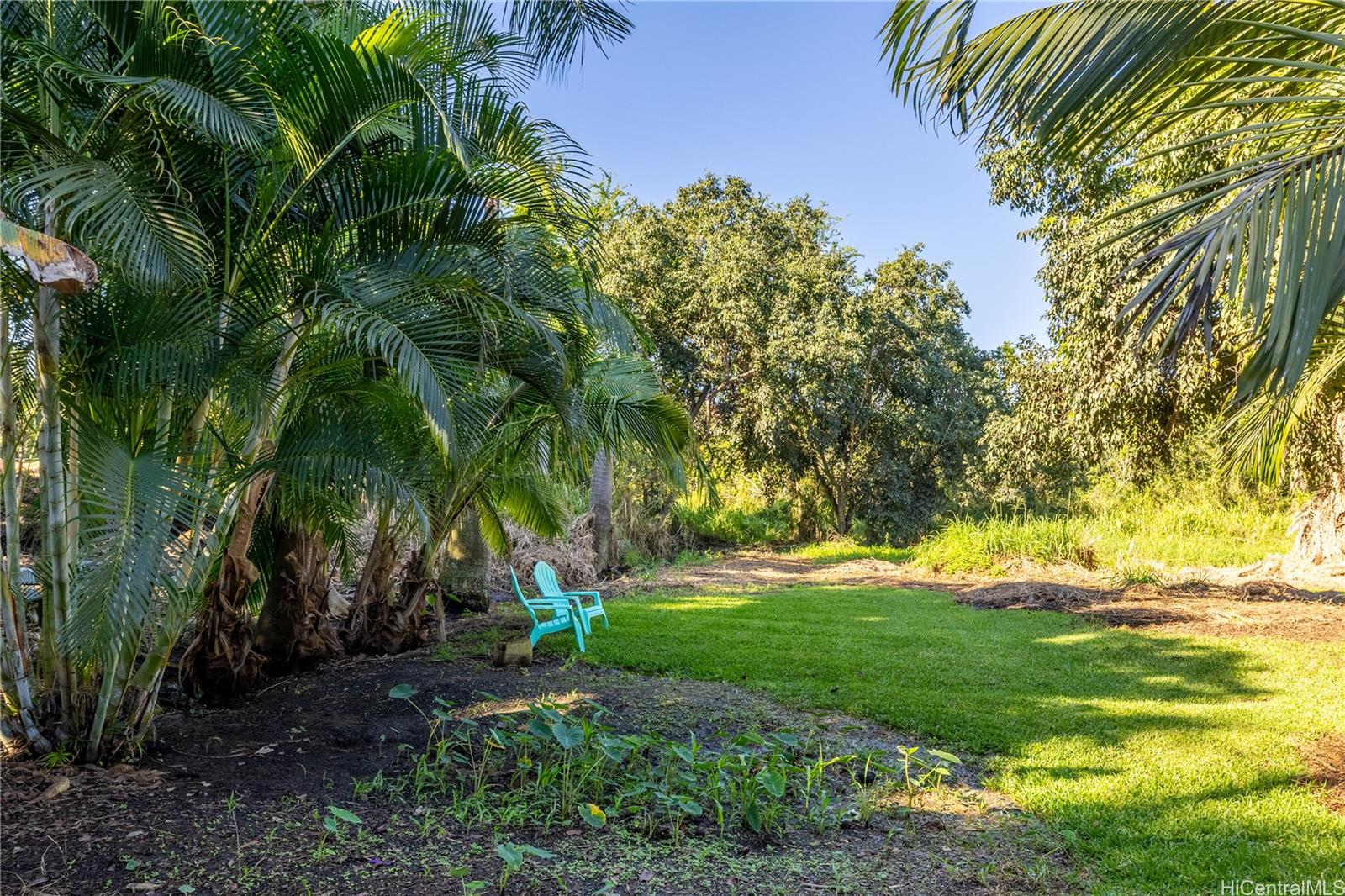 66-193 Kamehameha Hwy  Haleiwa, Hi vacant land for sale - photo 3 of 8