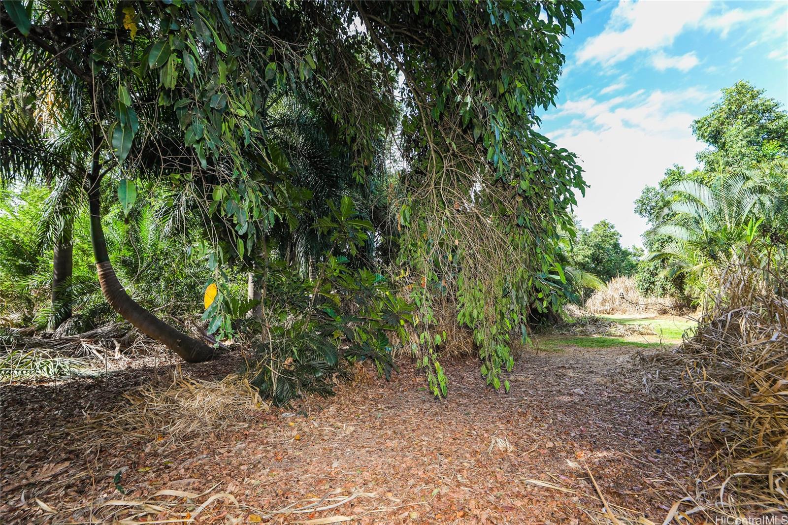 66-193 Kamehameha Hwy  Haleiwa, Hi vacant land for sale - photo 4 of 5