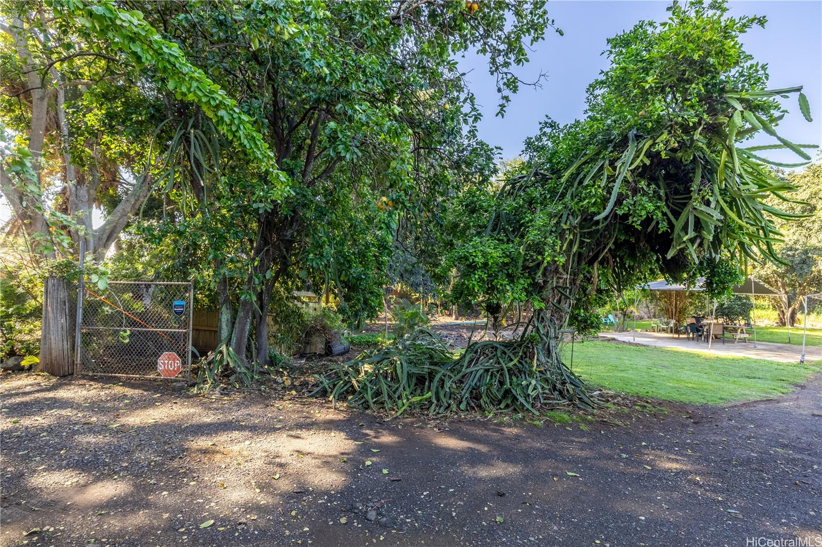 66-193 Kamehameha Hwy  Haleiwa, Hi vacant land for sale - photo 6 of 8