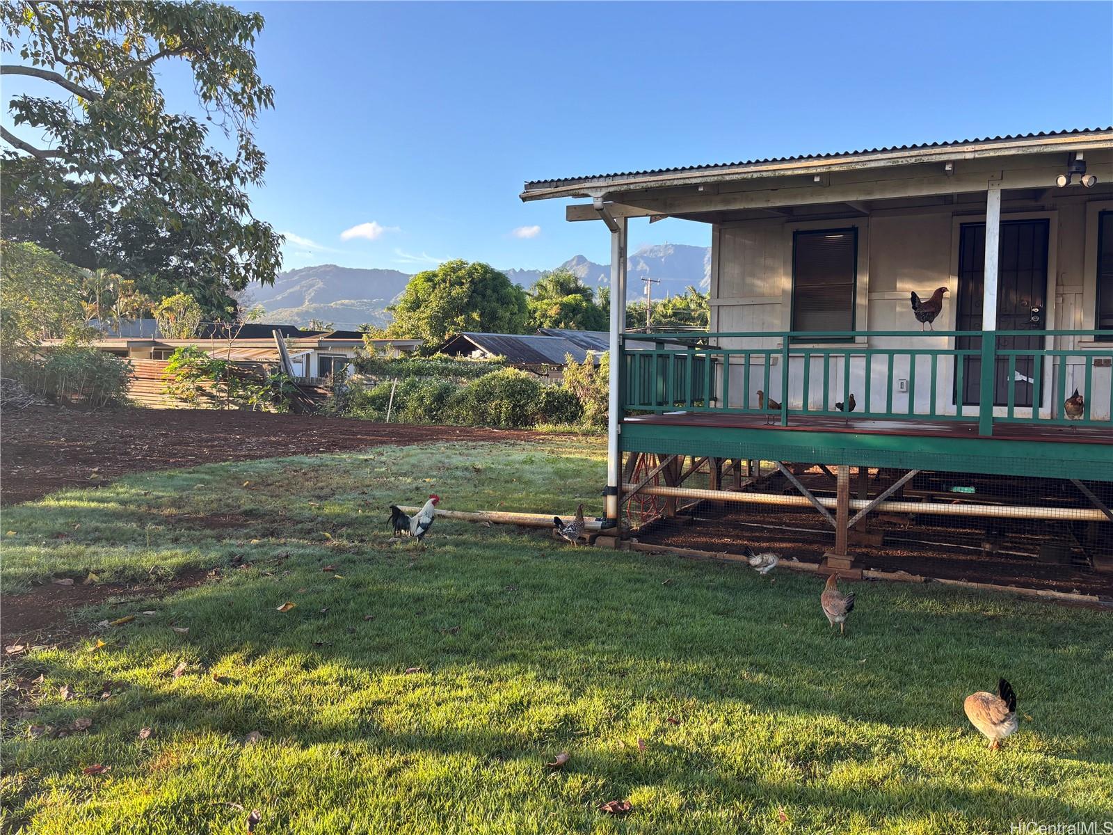 66-195 Kaamooloa Rd Waialua - Rental - photo 4 of 15