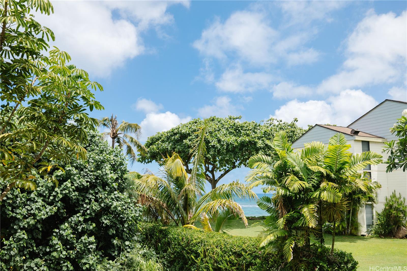 Haleiwa Surf condo # A203, Haleiwa, Hawaii - photo 22 of 24
