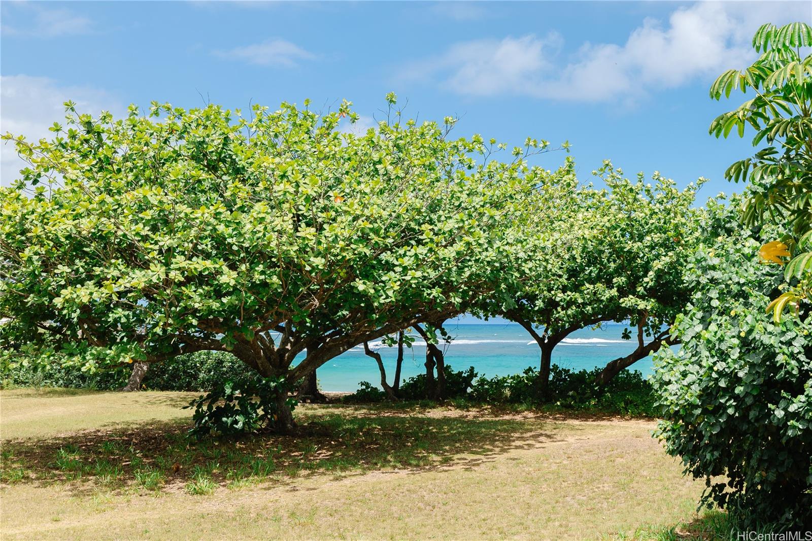 Haleiwa Surf condo # A203, Haleiwa, Hawaii - photo 4 of 24
