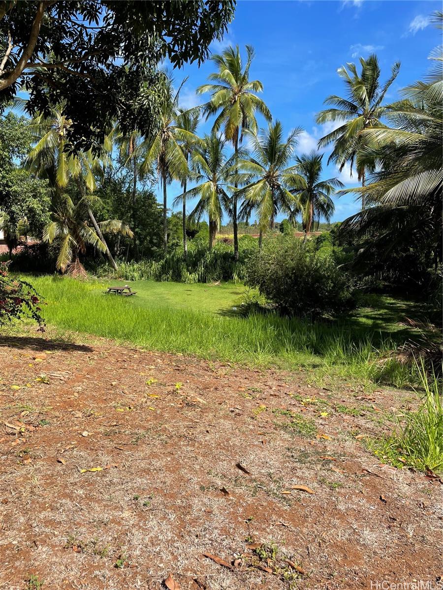 66-346  Paalaa Road Waialua, North Shore home - photo 12 of 12