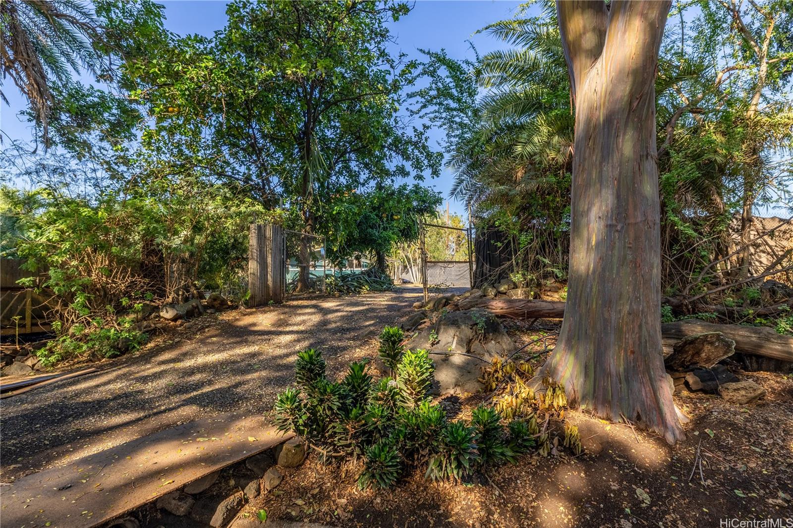 66-815  Kamehameha Hwy Haleiwa, North Shore home - photo 16 of 18