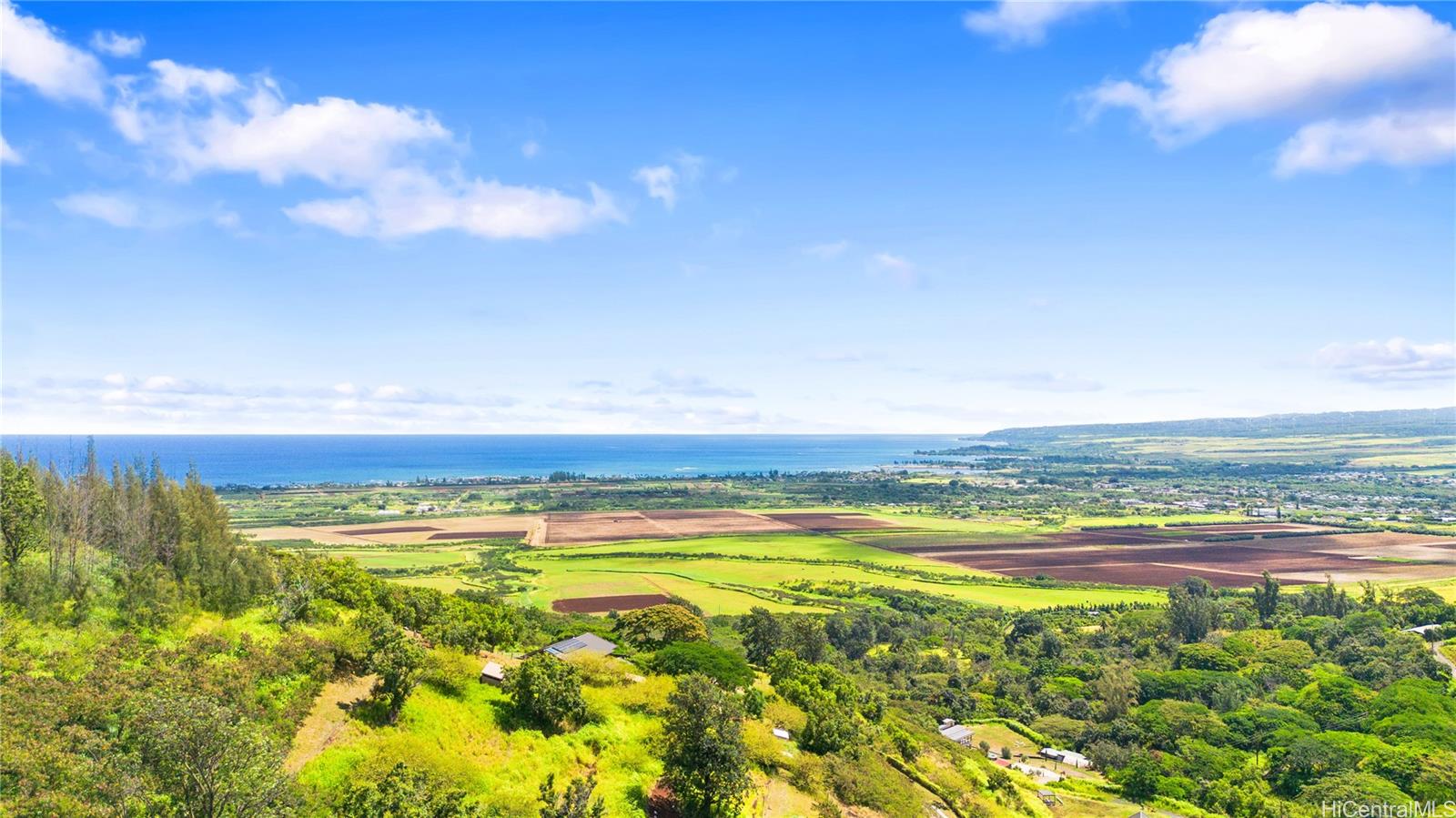 67-174 B #1 Farrington Hwy  Waialua, Hi vacant land for sale - photo 3 of 19