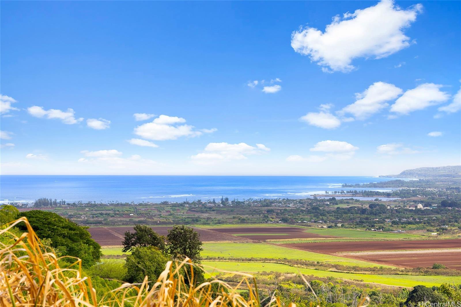 67-174 B #1 Farrington Hwy  Waialua, Hi vacant land for sale - photo 14 of 15