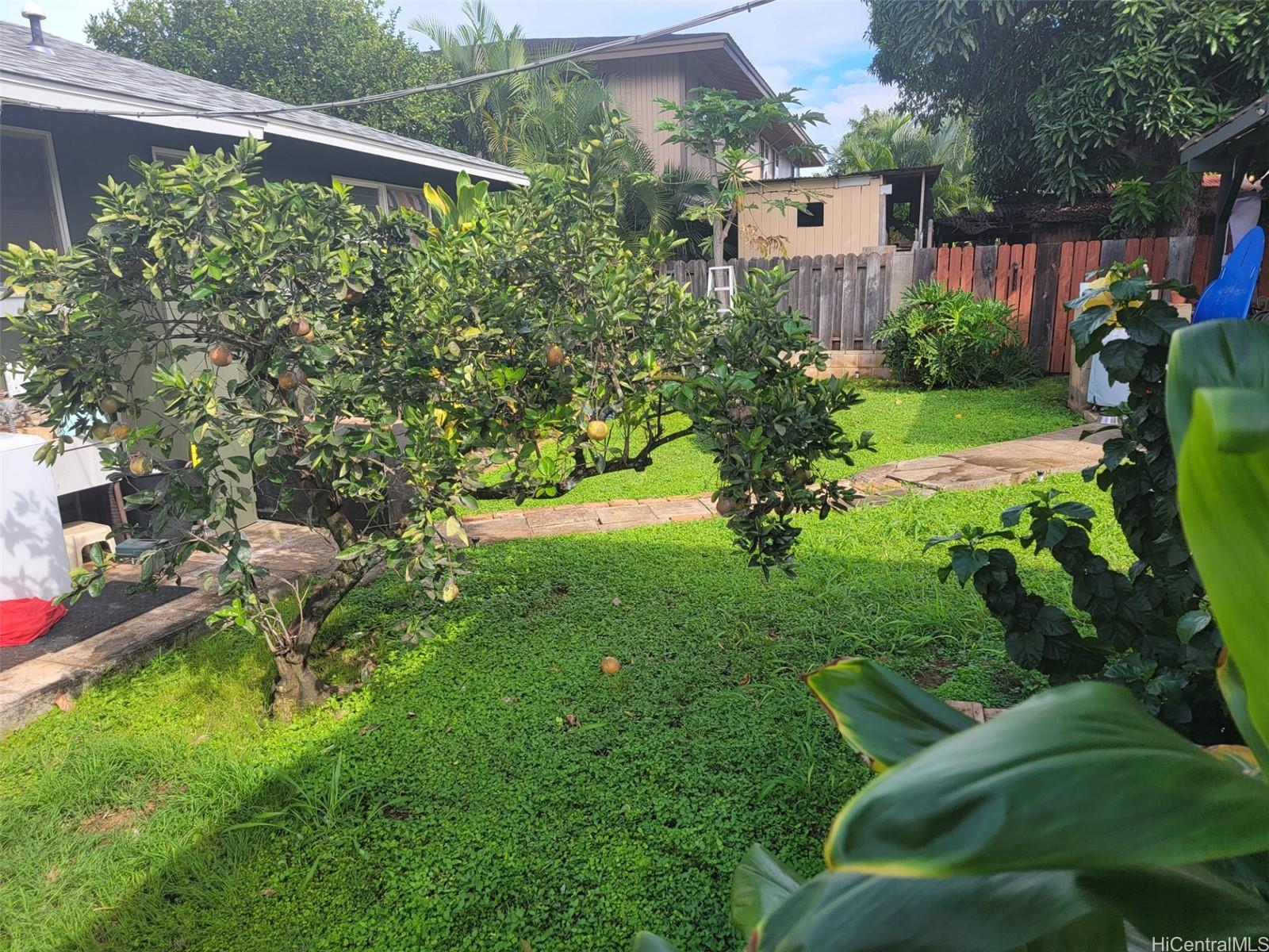 67-424 Goodale Ave Waialua - Rental - photo 2 of 17