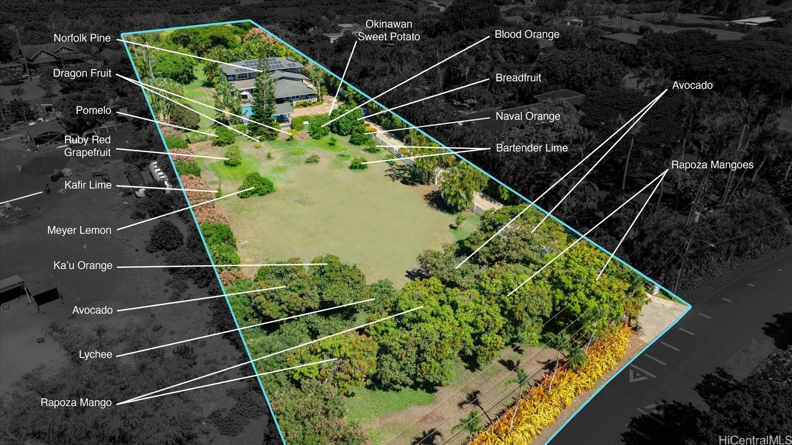 68-222  Olohio Street Mokuleia, North Shore home - photo 17 of 25