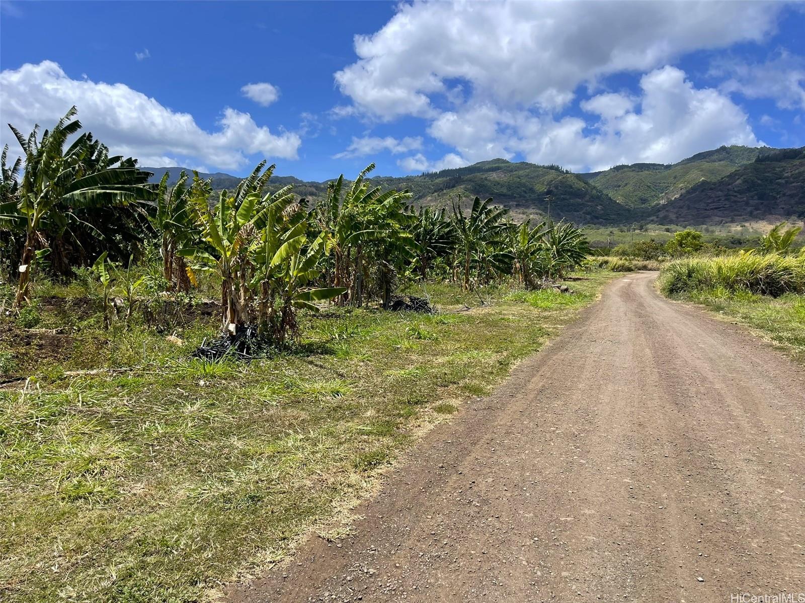 68-670 Farrington Hwy 11 Waialua, Hi vacant land for sale - photo 4 of 12