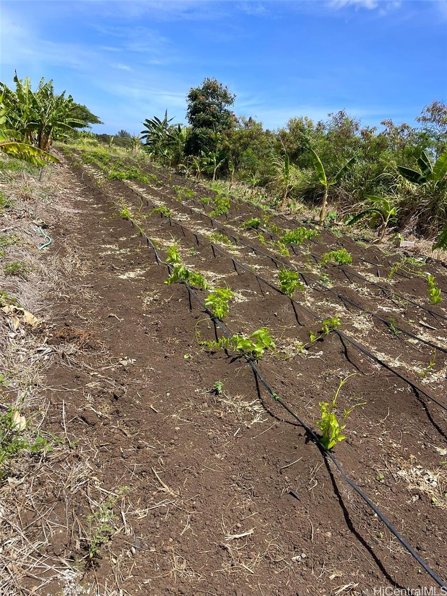 68-670 Farrington Hwy 11 Waialua, Hi vacant land for sale - photo 8 of 12