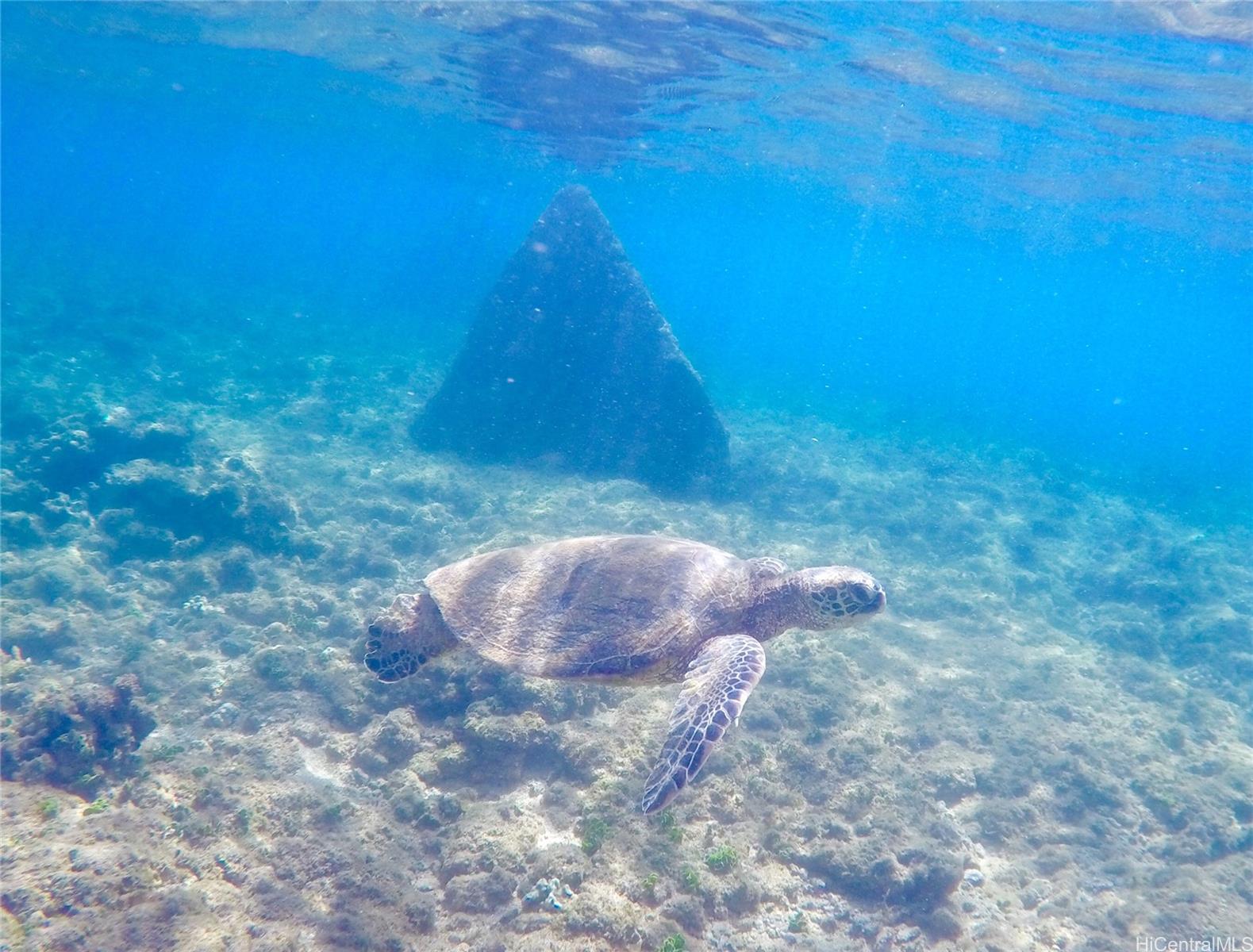 68-90 Au St Waialua - Rental - photo 18 of 22