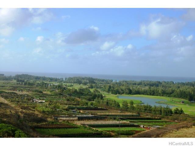 68 Acres Kamehameha Hwy  Kahuku, Hi vacant land for sale - photo 7 of 16