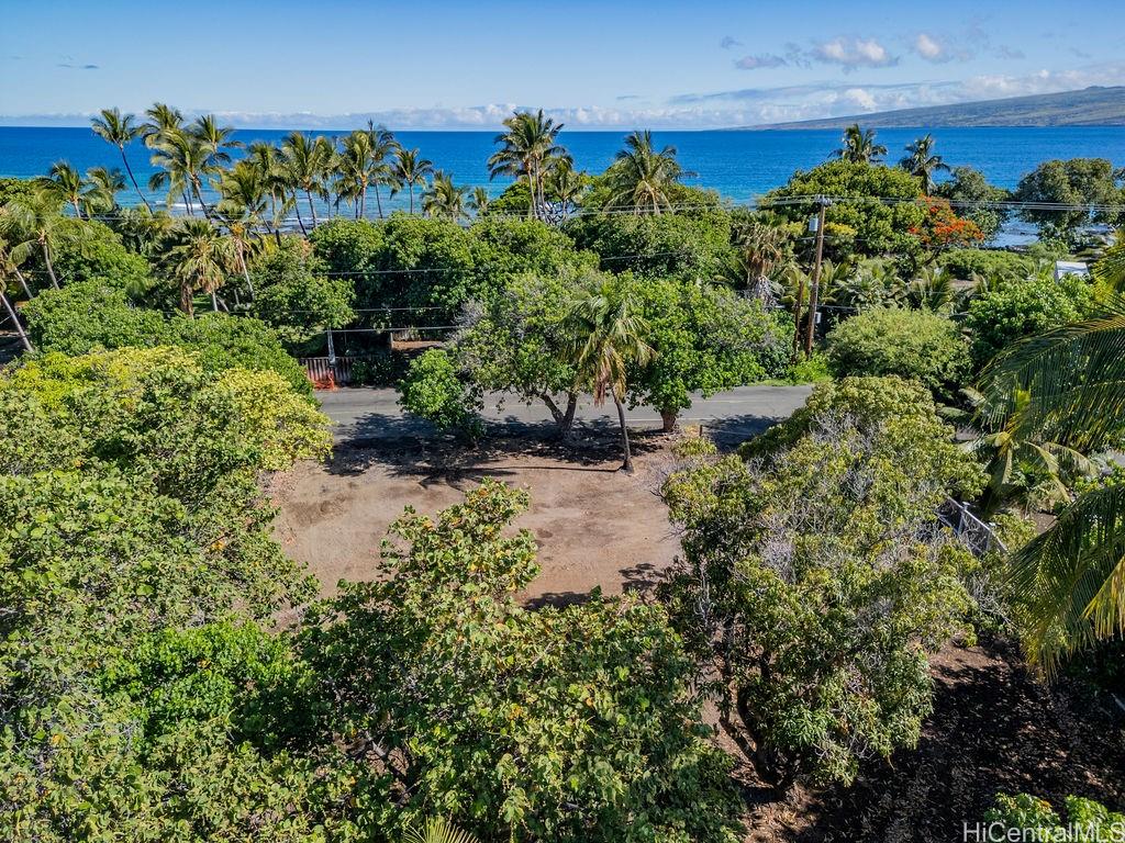 69-1819 Puako Beach Dr  Kamuela, Hi vacant land for sale - photo 3 of 25