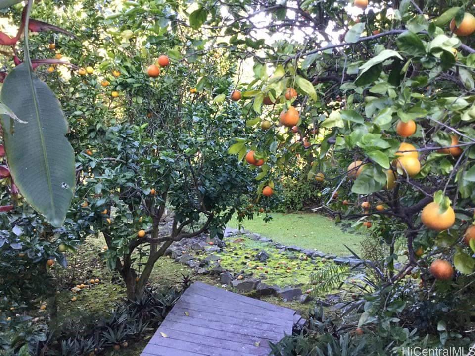 73-1402  Hikimoe St Kona Heavens, North Kona home - photo 11 of 25