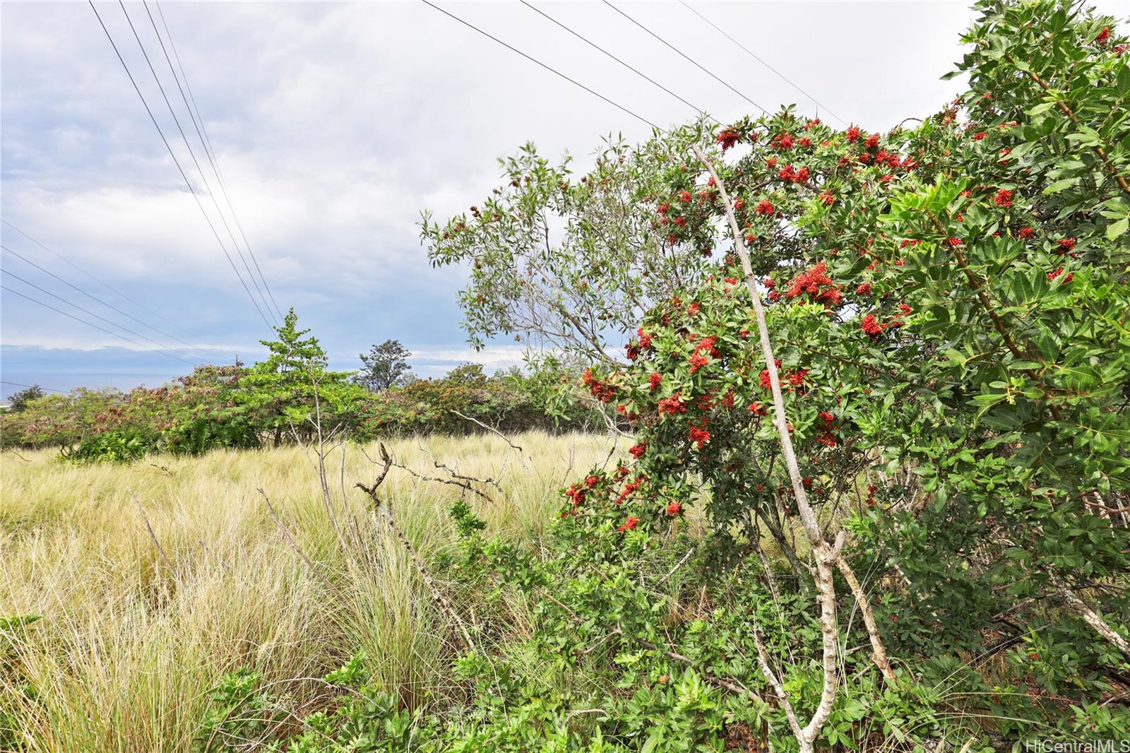 73-953 Ahikawa Street  Kailua Kona, Hi vacant land for sale - photo 22 of 25