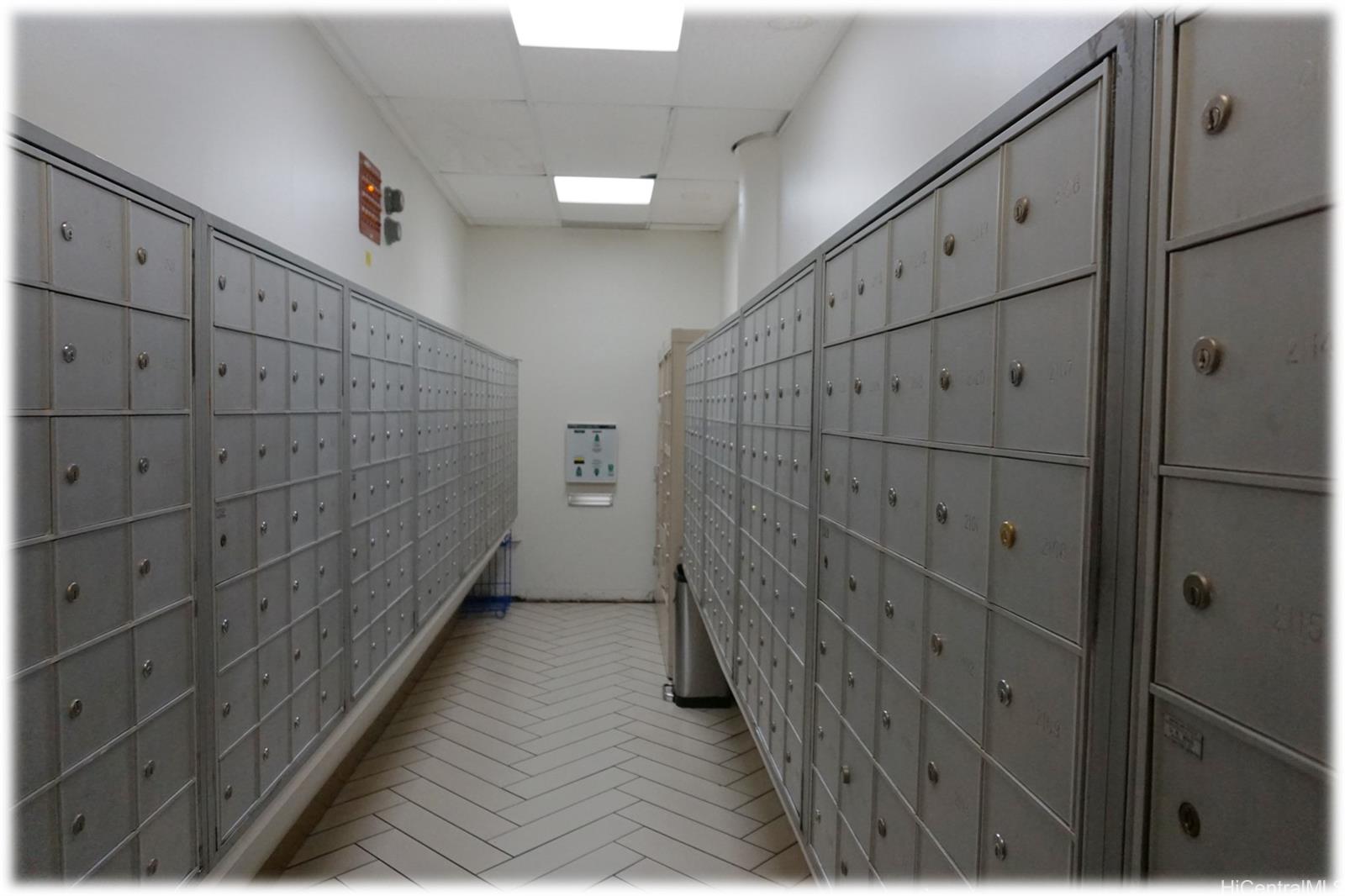 747 Amana St Honolulu - Rental - photo 8 of 9