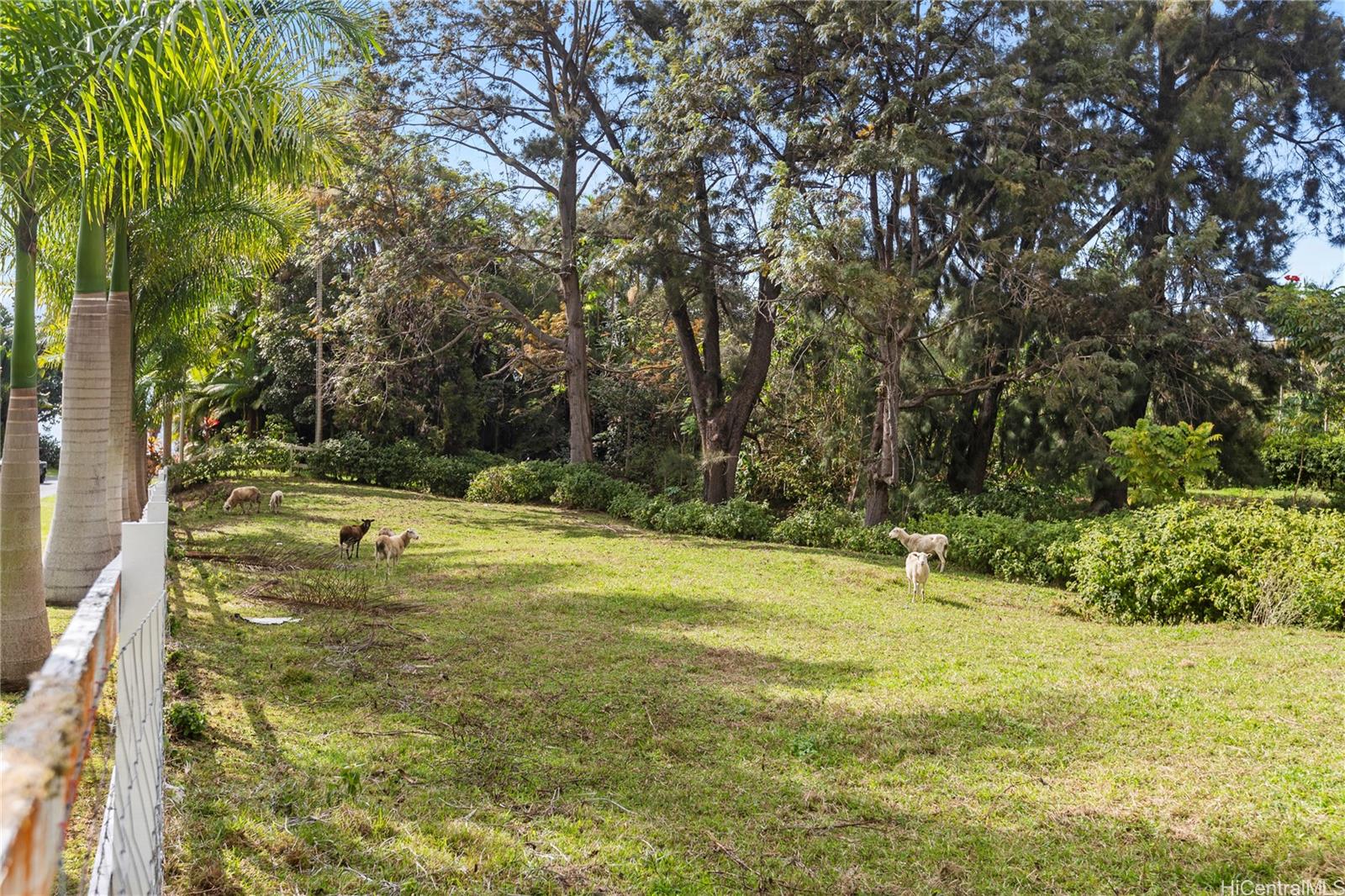 75-1079  Keopu Mauka Dr Keopu Mauka, North Kona home - photo 18 of 25