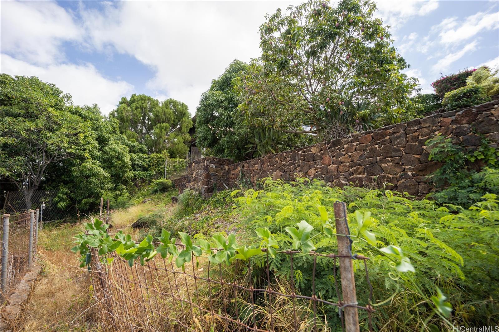 766 Ocean View Drive  Honolulu, Hi vacant land for sale - photo 17 of 25