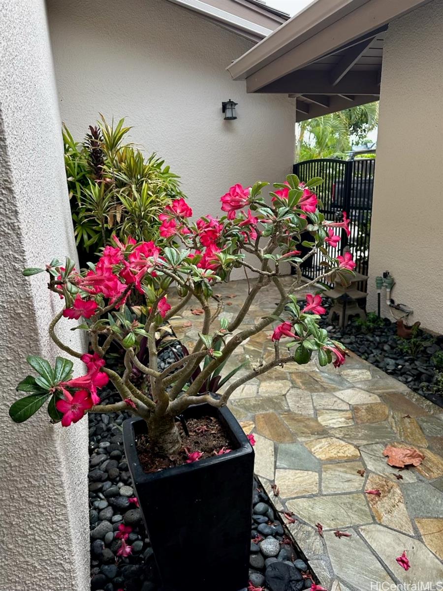 7832  Makaaoa Pl Queens Gate, Hawaii Kai home - photo 18 of 25