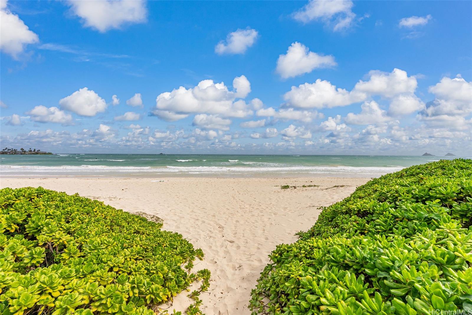 824  N Kalaheo Ave Beachside, Kailua home - photo 5 of 22