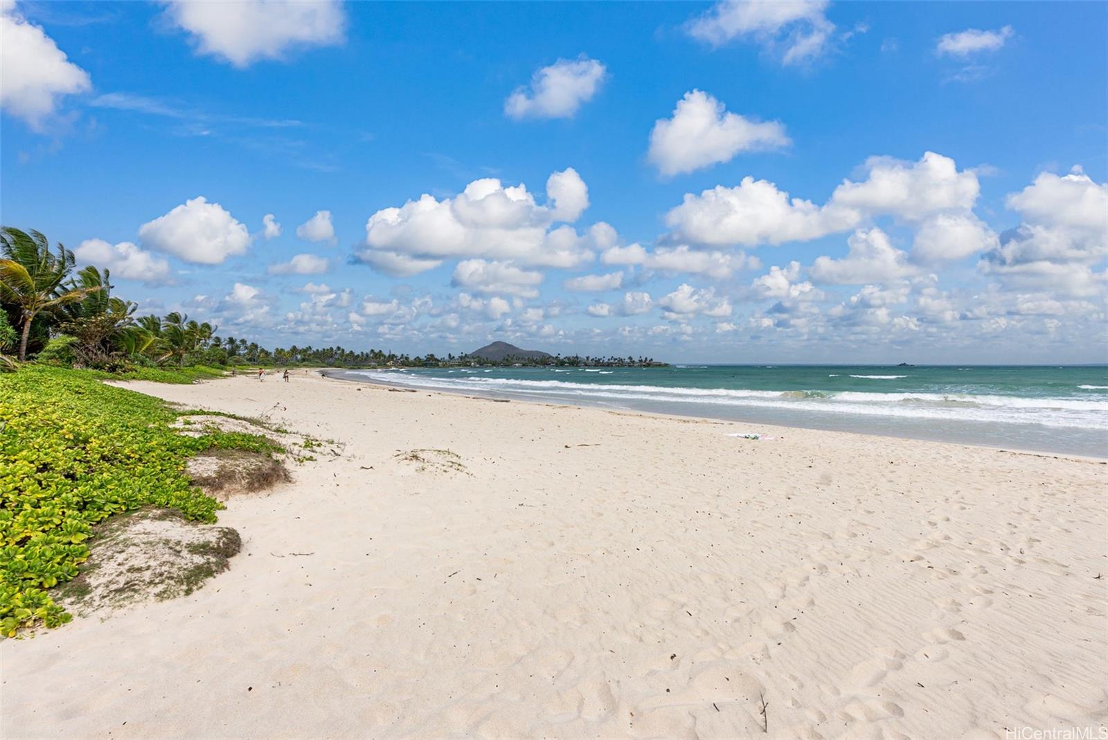 824  N Kalaheo Ave Beachside, Kailua home - photo 6 of 22
